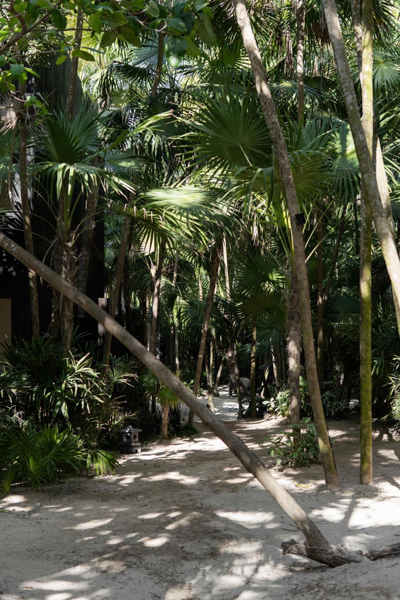 Umi Tulum Hotel Buitenkant foto