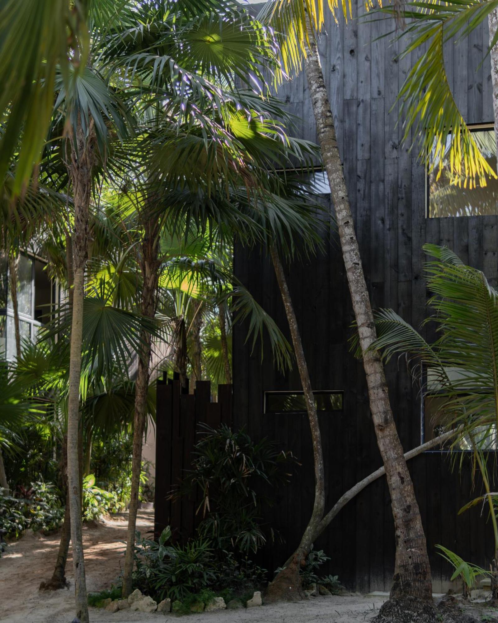 Umi Tulum Hotel Buitenkant foto